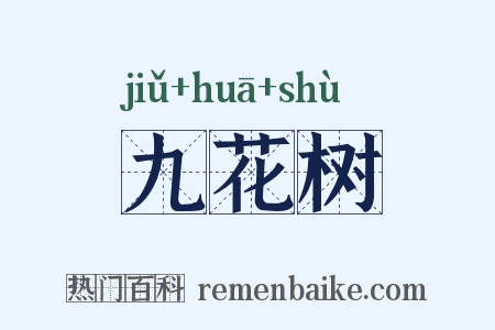 九花树是什么意思的图片